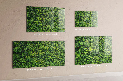 Magnetic board for wall forest from a bird's eye view