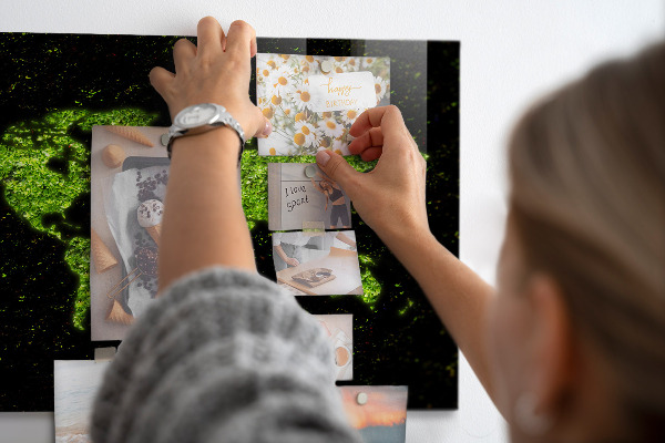 World map magnetic board version