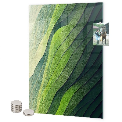 Memo board Green streaks of nature