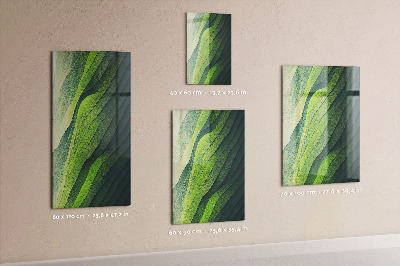 Memo board Green streaks of nature
