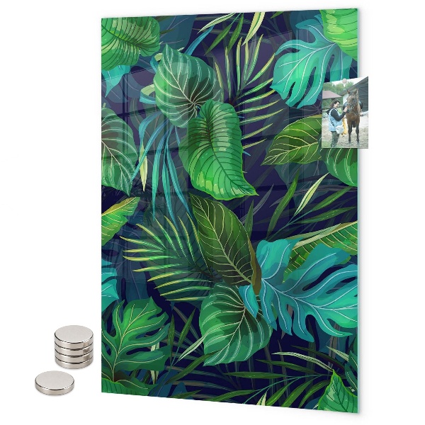 Memo board Space galaxy