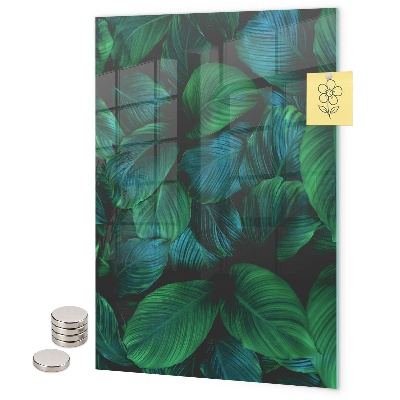 Memo board Large green leaves