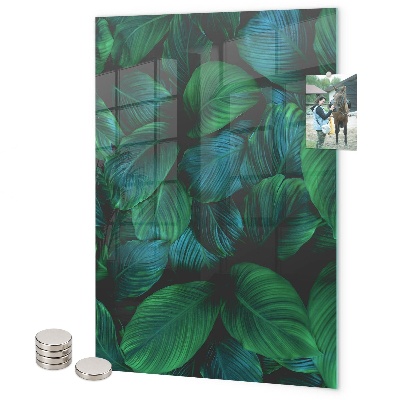 Memo board Large green leaves