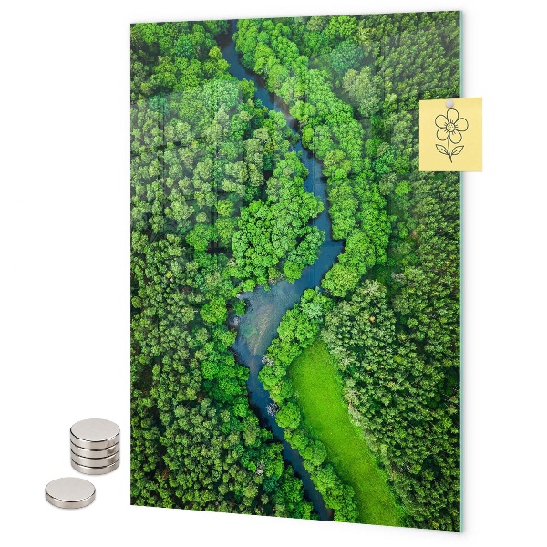 Memo board Forest trees river