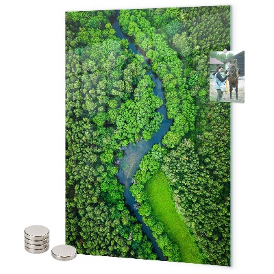 Memo board Forest trees river