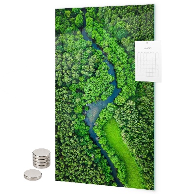 Memo board Forest trees river
