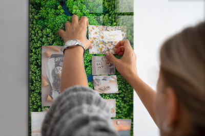 Memo board Forest trees river