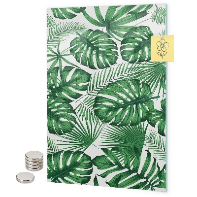 Notice board Tropical monstera leaves