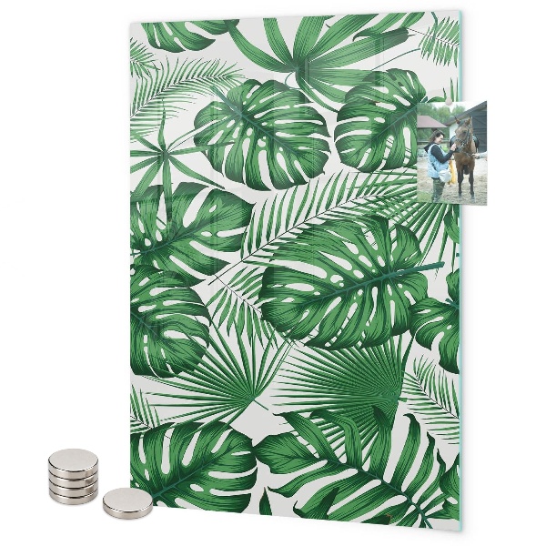 Notice board Tropical monstera leaves