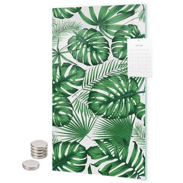 Notice board Tropical monstera leaves