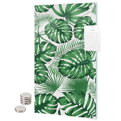 Notice board Tropical monstera leaves