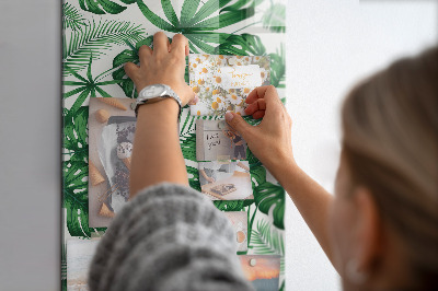 Notice board Tropical monstera leaves