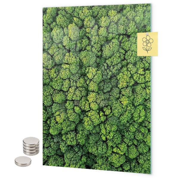 Memo board trees nature forest