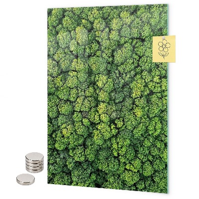 Memo board trees nature forest