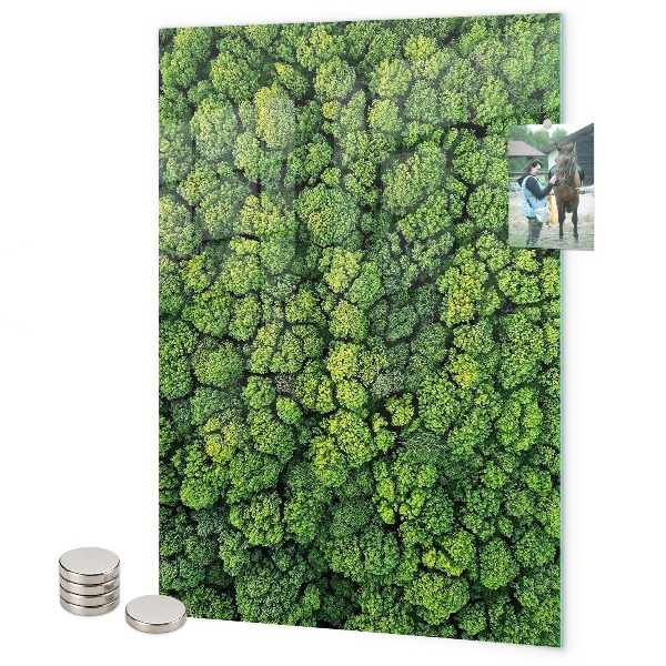 Memo board trees nature forest