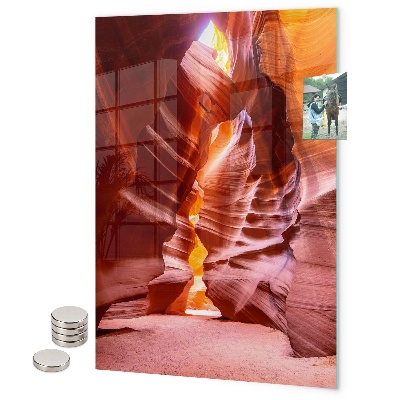 Memo board trees nature forest