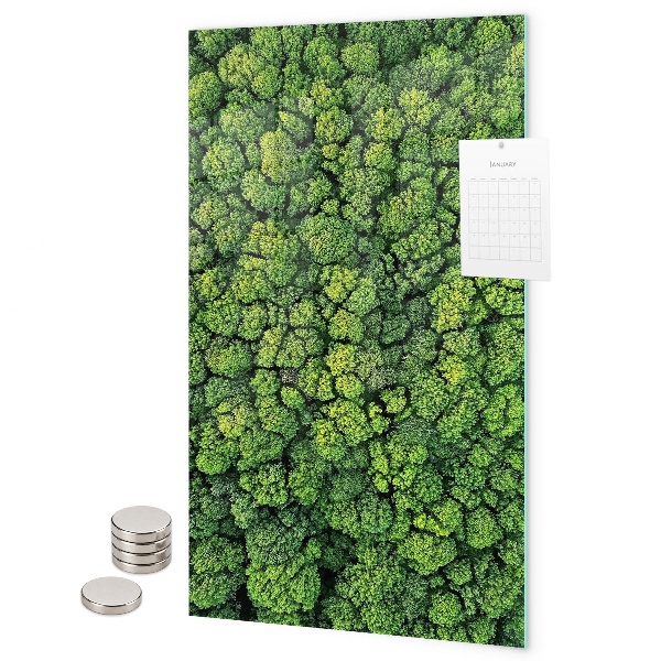 Memo board trees nature forest