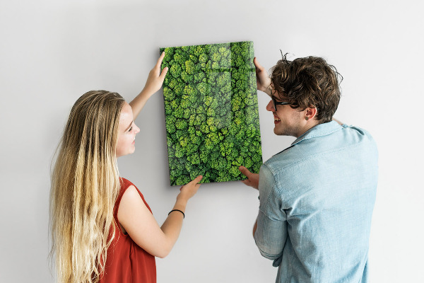 Memo board trees nature forest