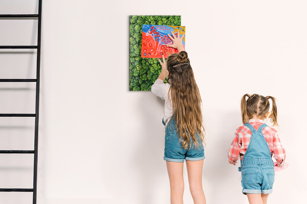 Memo board trees nature forest