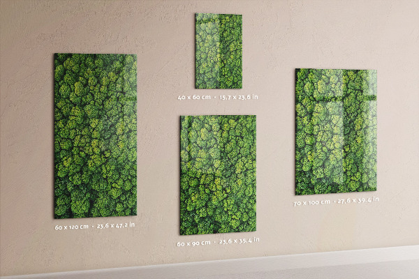 Memo board trees nature forest