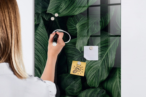 Dry erase board magnetic Green board for notes and photos