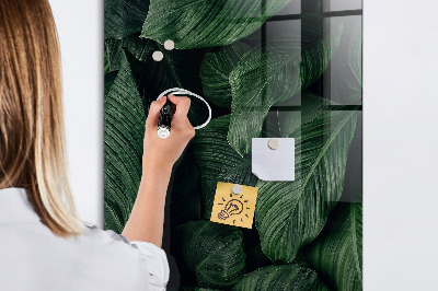 Dry erase board magnetic Green board for notes and photos
