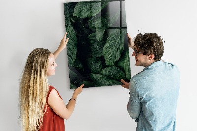 Dry erase board magnetic Green board for notes and photos