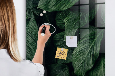 Dry erase board magnetic Green board for notes and photos