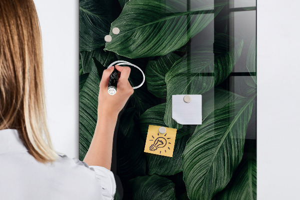 Dry erase board magnetic Green board for notes and photos