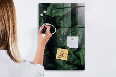 Dry erase board magnetic Green board for notes and photos