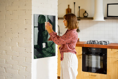 Dry erase board magnetic Green board for notes and photos
