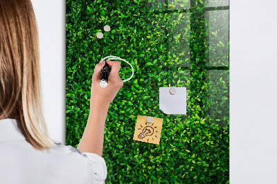 Magnetic dry erase board Green photo pin board