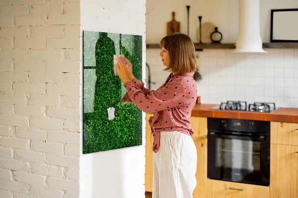 Magnetic dry erase board Green photo pin board