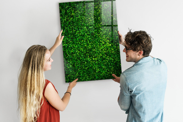 Magnetic dry erase board Green photo pin board