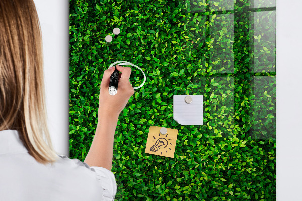 Magnetic dry erase board Green photo pin board