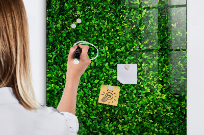 Magnetic dry erase board Green photo pin board