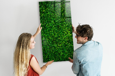 Magnetic dry erase board Green photo pin board