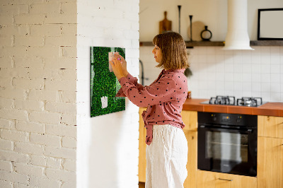 Magnetic dry erase board Green photo pin board