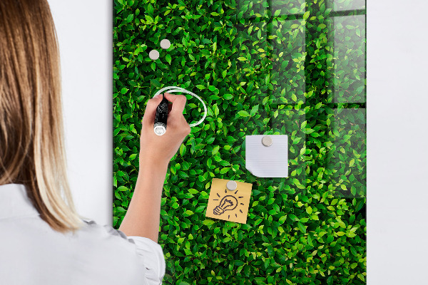 Magnetic dry erase board Green photo pin board