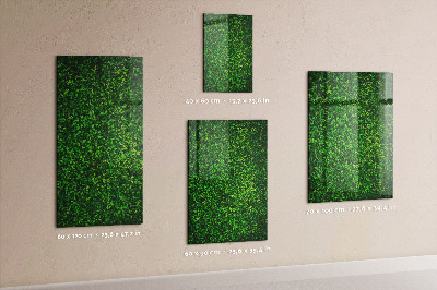 Magnetic dry erase board Green photo pin board