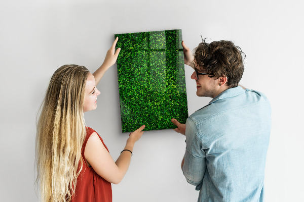 Magnetic dry erase board Green photo pin board