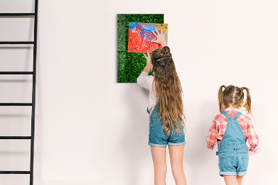 Magnetic dry erase board Green photo pin board