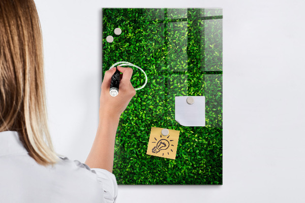 Magnetic dry erase board Green photo pin board