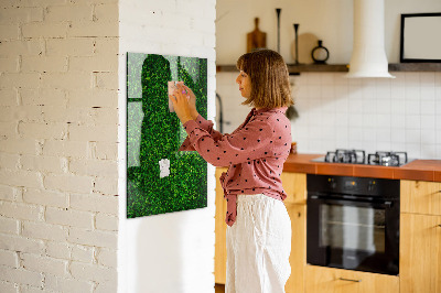 Magnetic dry erase board Green photo pin board