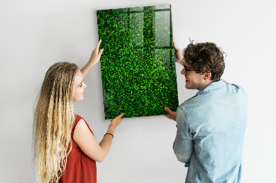 Magnetic dry erase board Green photo pin board