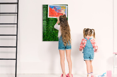Magnetic dry erase board Green photo pin board