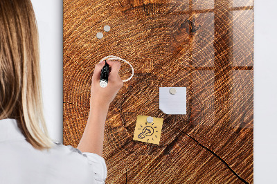 Dry erase board magnetic Memo board with magnets and photos