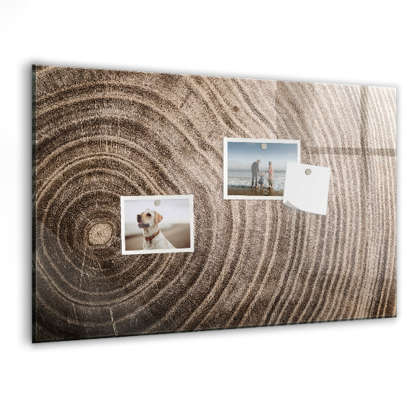 Magnetic dry erase board Memo board with magnets and photos