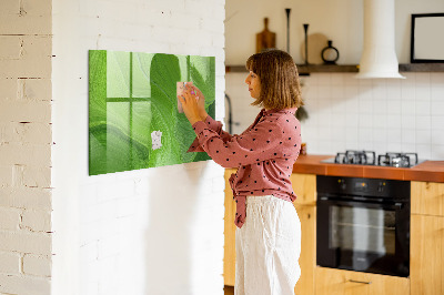 Dry erase board magnetic Green photo pin board