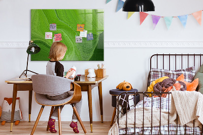 Dry erase board magnetic Green photo pin board